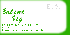 balint vig business card